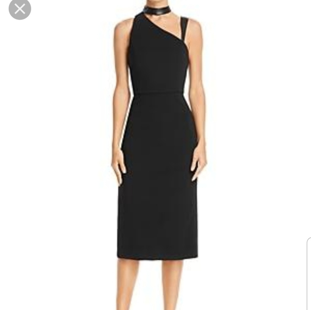 Alice and Olivia dress